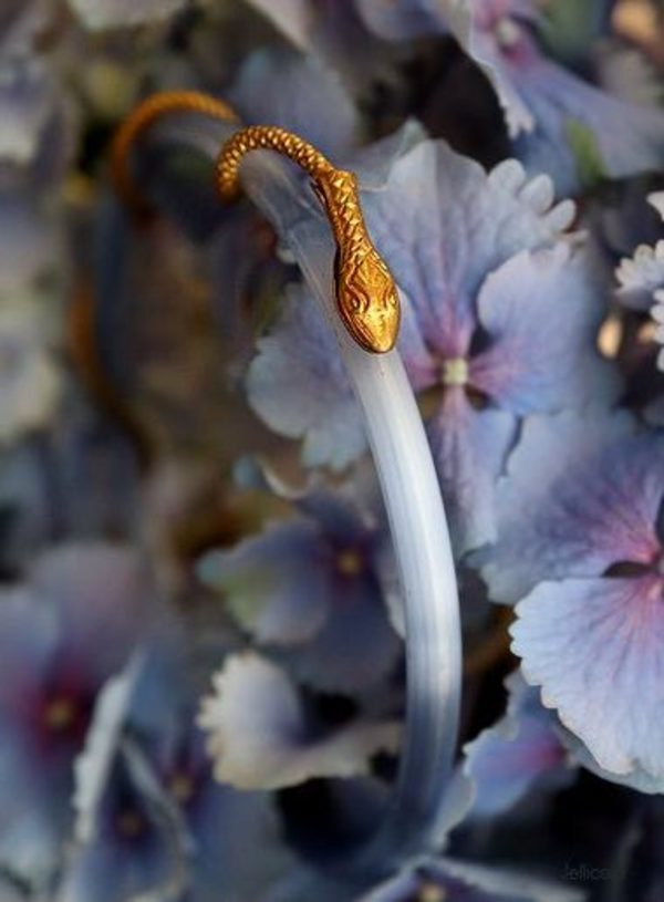 花底蛇サムネイル