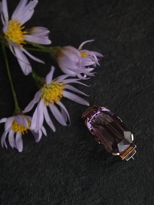 紫苑サムネイル
